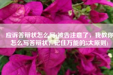 应诉答辩状怎么写(被告注意了，我教你怎么写答辩状，记住万能的5大原则)