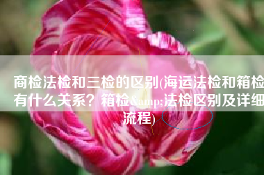 商检法检和三检的区别(海运法检和箱检有什么关系？箱检&法检区别及详细流程)