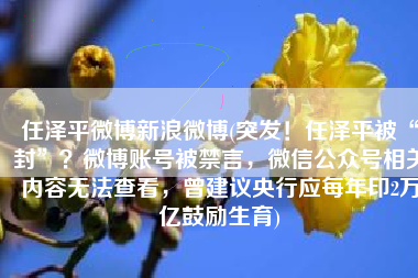 任泽平微博新浪微博(突发！任泽平被“封”？微博账号被禁言，微信公众号相关内容无法查看，曾建议央行应每年印2万亿鼓励生育)