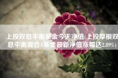 上投双息平衡基金今天净值(上投摩根双息平衡混合A基金最新净值涨幅达2.89%)