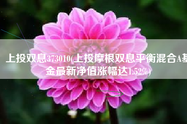 上投双息373010(上投摩根双息平衡混合A基金最新净值涨幅达1.52%)