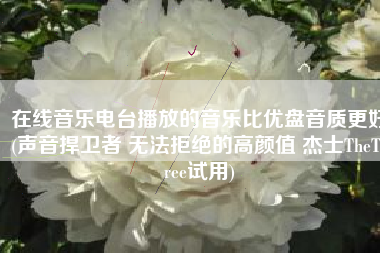 在线音乐电台播放的音乐比优盘音质更好(声音捍卫者 无法拒绝的高颜值 杰士TheThree试用)