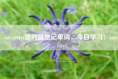 integrity(随时随地记单词，今日学习：integrity)