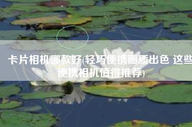 卡片相机哪款好(轻巧便携画质出色 这些便携相机值得推荐)