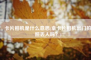 卡片相机是什么意思(拿卡片相机出门拍照丢人吗？)