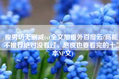 俊男坊无删减txt全文加番外百度云(高能！不推荐绝对没看过，熬夜也要看完的十二本NP文)