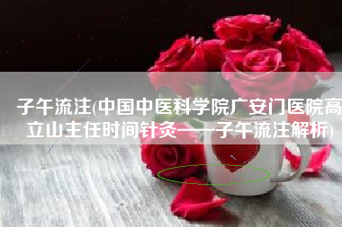 子午流注(中国中医科学院广安门医院高立山主任时间针灸——子午流注解析)