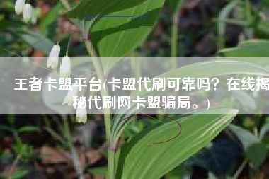 王者卡盟平台(卡盟代刷可靠吗？在线揭秘代刷网卡盟骗局。)