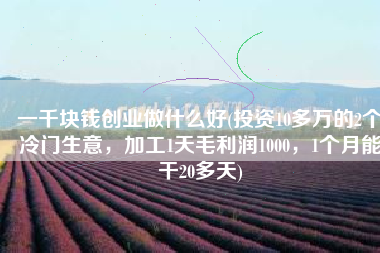 一千块钱创业做什么好(投资10多万的2个冷门生意，加工1天毛利润1000，1个月能干20多天)
