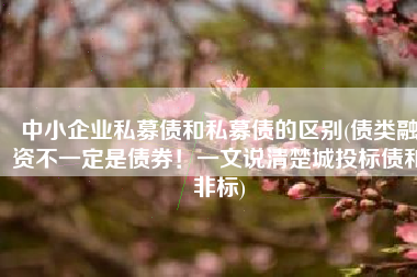 中小企业私募债和私募债的区别(债类融资不一定是债券！一文说清楚城投标债和非标)
