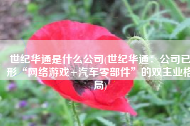 世纪华通是什么公司(世纪华通：公司已形“网络游戏+汽车零部件”的双主业格局)