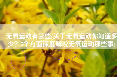 无氧运动有哪些(关于无氧运动你知道多少？5个方面深度解说无氧运动那些事)