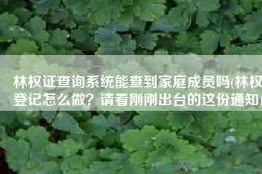 林权证查询系统能查到家庭成员吗(林权登记怎么做？请看刚刚出台的这份通知)