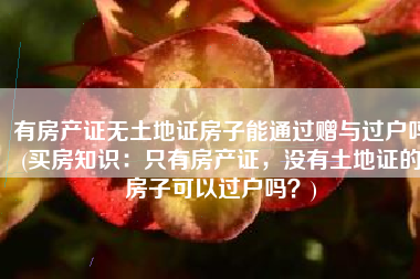 有房产证无土地证房子能通过赠与过户吗(买房知识：只有房产证，没有土地证的房子可以过户吗？)