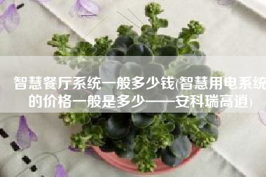智慧餐厅系统一般多少钱(智慧用电系统的价格一般是多少——安科瑞高逍)