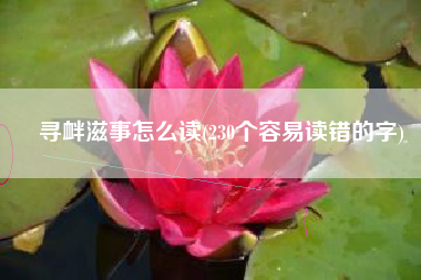 寻衅滋事怎么读(230个容易读错的字)