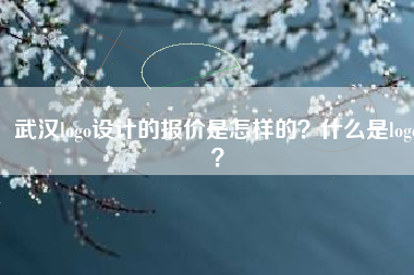 武汉logo设计的报价是怎样的？什么是logo？