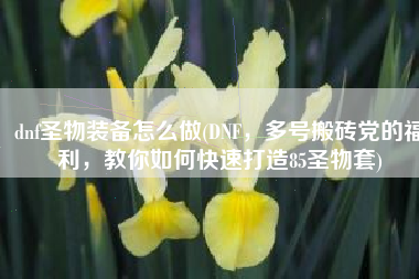 dnf圣物装备怎么做(DNF，多号搬砖党的福利，教你如何快速打造85圣物套)