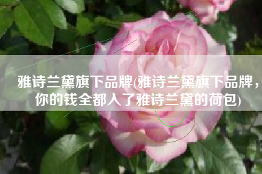 雅诗兰黛旗下品牌(雅诗兰黛旗下品牌，你的钱全都入了雅诗兰黛的荷包)