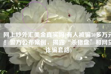 网上炒外汇美金真实吗(有人被骗30多万元！警方公布案例，揭露“杀猪盘”和网贷诈骗套路)