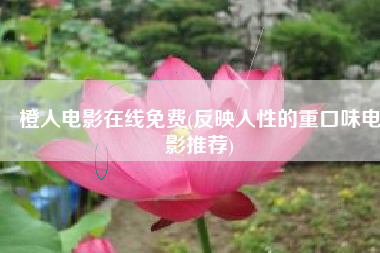 橙人电影在线免费(反映人性的重口味电影推荐)