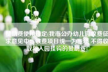 赞助费使用规定(我市公办幼儿园收费征求意见中：收费项目统一为三项 不得收取与入园挂钩的赞助费)