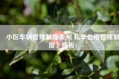 小区车辆管理制度表(《私车公用管理制度》模板)