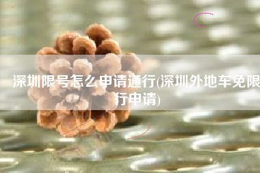 深圳限号怎么申请通行(深圳外地车免限行申请)