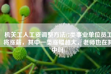 机关工人工资调整方法(7类事业单位员工将涨薪，其中一类涨幅超大，老师也在其中吗)