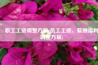职工工资调整方案(员工工资、薪酬福利调整方案)