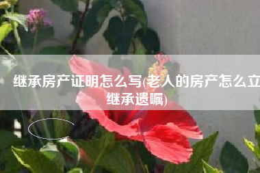 继承房产证明怎么写(老人的房产怎么立继承遗嘱)
