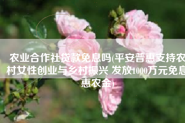 农业合作社贷款免息吗(平安普惠支持农村女性创业与乡村振兴 发放1000万元免息惠农金)