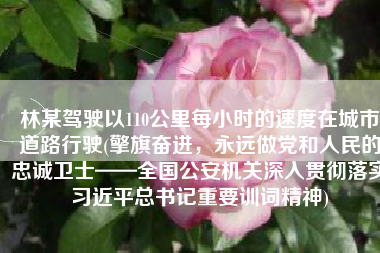 林某驾驶以110公里每小时的速度在城市道路行驶(擎旗奋进，永远做党和人民的忠诚卫士——全国公安机关深入贯彻落实习近平总书记重要训词精神)