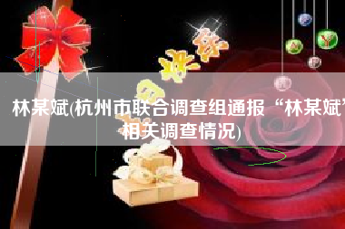 林某斌(杭州市联合调查组通报“林某斌”相关调查情况)