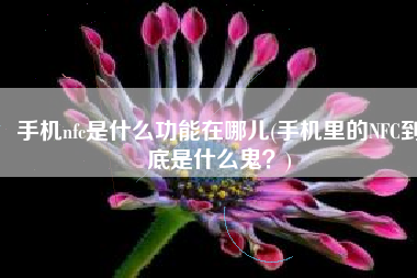 手机nfc是什么功能在哪儿(手机里的NFC到底是什么鬼？)