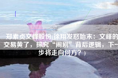 郑素贞文峰股份(徐翔发怒始末：文峰的交易黄了，探究“闹剧”背后逻辑，下一步将走向何方？)