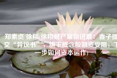 郑素贞 徐翔(徐翔财产案新进展：妻子提交“异议书”，旗下概念股融资受阻，下一步如何资本运作)