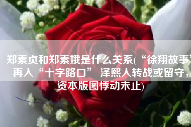 郑素贞和郑素娥是什么关系(“徐翔故事”再入“十字路口” 泽熙人转战或留守，资本版图悸动未止)