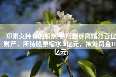 郑素贞持有的股票(徐翔妻诉离婚分百亿财产，所持股票缩水30亿元，被处罚金110亿元)