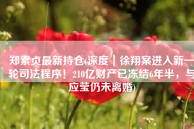 郑素贞最新持仓(深度｜徐翔案进入新一轮司法程序！210亿财产已冻结6年半，与应莹仍未离婚)