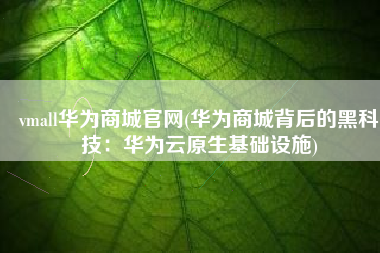 vmall华为商城官网(华为商城背后的黑科技：华为云原生基础设施)