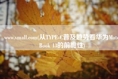 www.vmall.com(从TYPE-C普及趋势看华为MateBook 13的前瞻性)