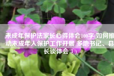 未成年保护法家长心得体会100字(如何推动未成年人保护工作开展 多地书记、县长谈体会③)
