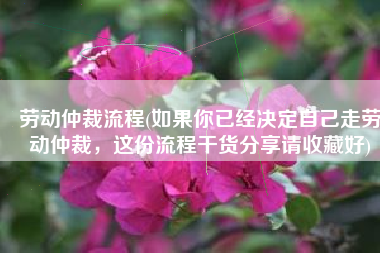 劳动仲裁流程(如果你已经决定自己走劳动仲裁，这份流程干货分享请收藏好)