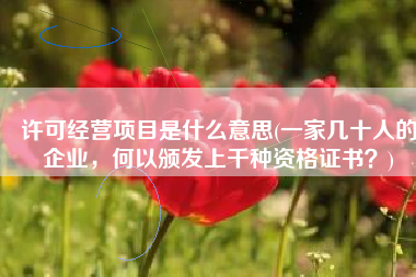 许可经营项目是什么意思(一家几十人的企业，何以颁发上千种资格证书？)