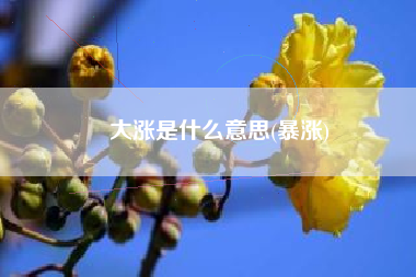 大涨是什么意思(暴涨)