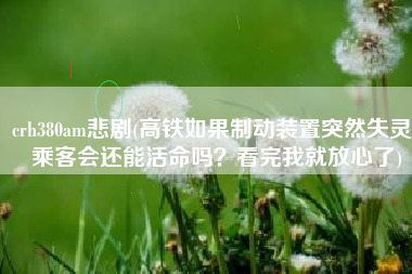 crh380am悲剧(高铁如果制动装置突然失灵，乘客会还能活命吗？看完我就放心了)