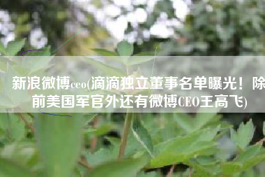 新浪微博ceo(滴滴独立董事名单曝光！除前美国军官外还有微博CEO王高飞)