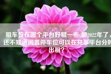 租车位在哪个平台好租一些(都2022年了，还不知道闲置停车位可以在共享平台分时出租？)