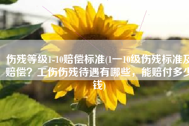 伤残等级1-10赔偿标准(1一10级伤残标准及赔偿？工伤伤残待遇有哪些，能赔付多少钱)